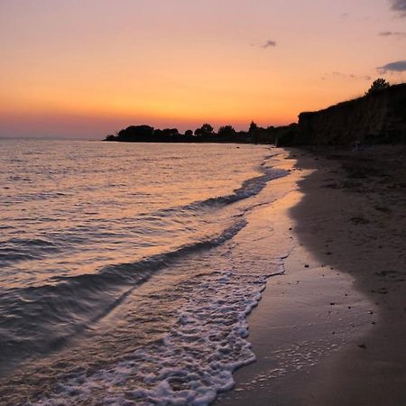Apartments Villa Prima Privlaka  Εξωτερικό φωτογραφία