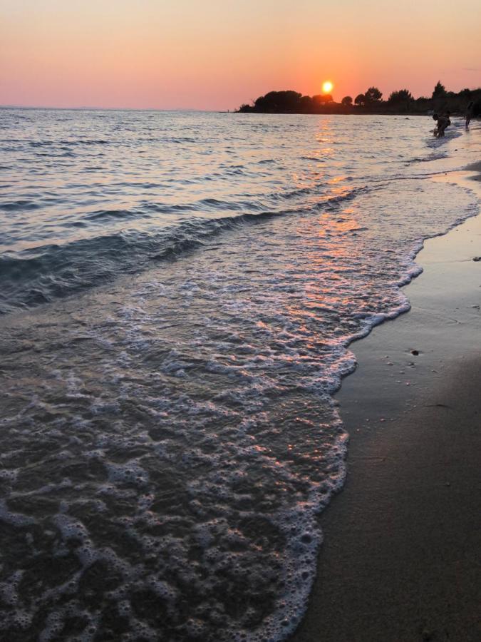 Apartments Villa Prima Privlaka  Εξωτερικό φωτογραφία